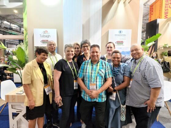 Cape Winelands presented at Africa’s Travel Indaba 2022