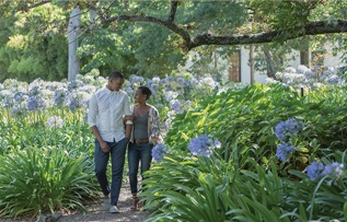 Visit Stellenbosch unveils exciting new festival of gardens