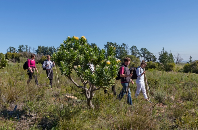 Visit Stellenbosch unveils exciting new festival of gardens